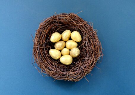 white eggs in brown nest