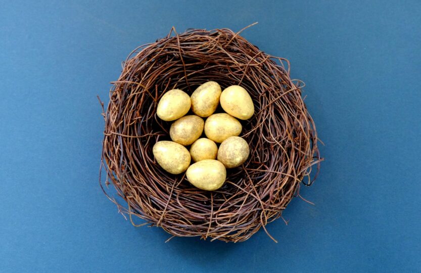 white eggs in brown nest